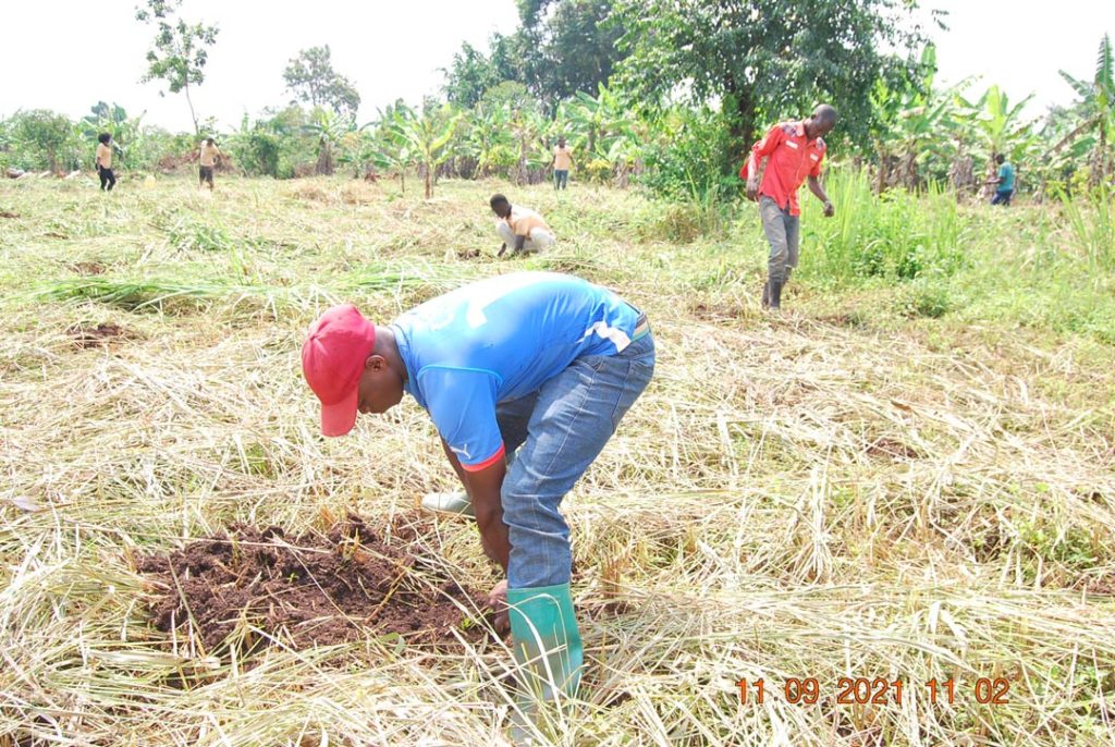 Mr. Ssemwanga and the FFP team fully immersed in the tree planting activity 
