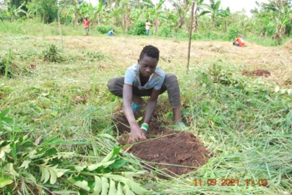 A young volunteer giving life to a tree on planting day