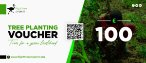 Tree Planting Voucher
