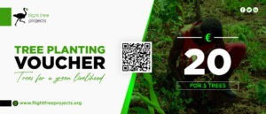 Tree Planting Voucher