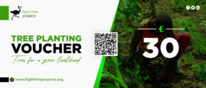 Tree Planting Voucher