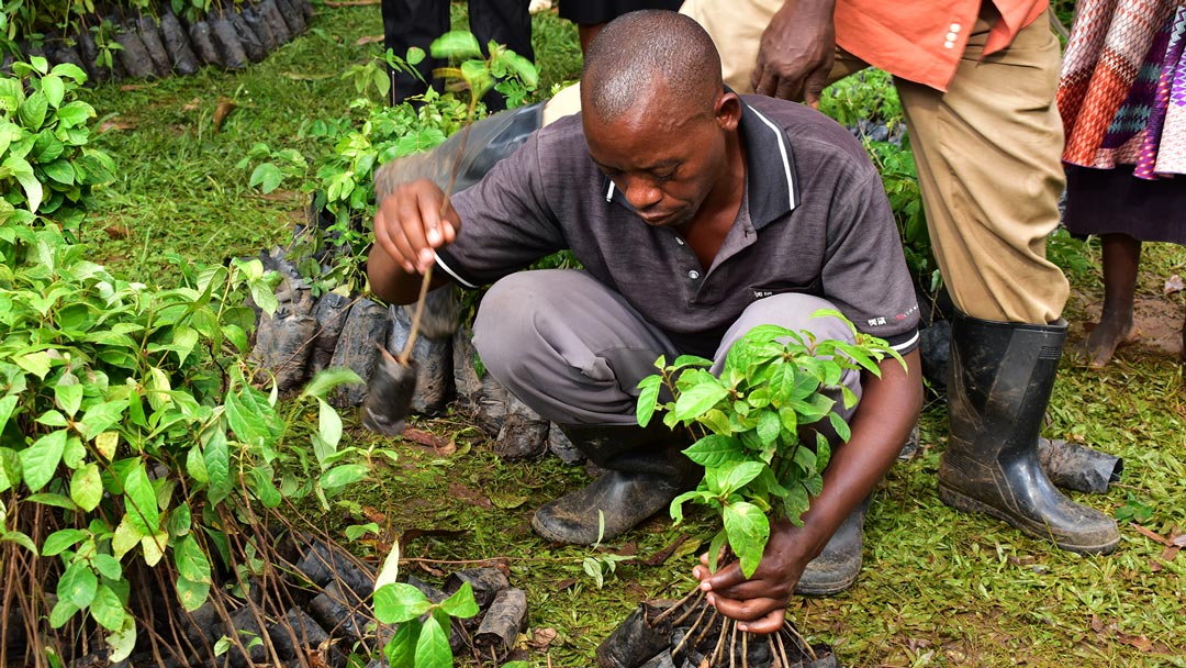 Tree-planting-May-202311
